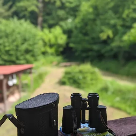 Mit Sauna Und Heimkino In Der Pfalz