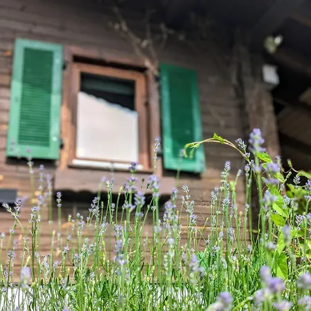Ferienhaus Mit Sauna Und Heimkino In Der Pfalz