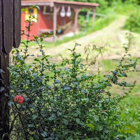Ferienhaus Mit Sauna Und Heimkino In Der Pfalz *