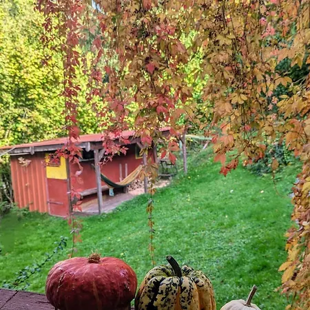 Mit Sauna Und Heimkino In Der Pfalz