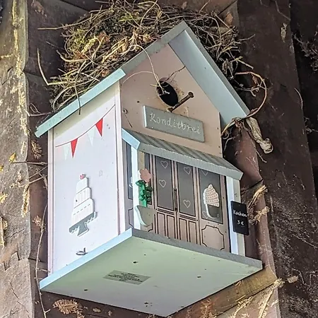 Mit Sauna Und Heimkino In Der Pfalz Ferienhaus